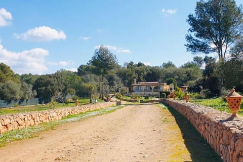 Garden view