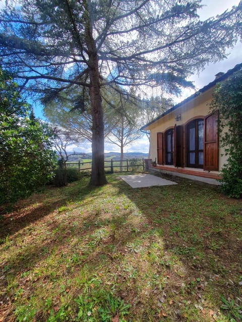 Property building, Garden, Garden view