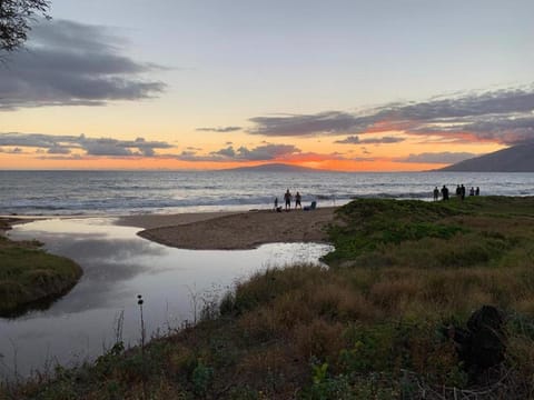 Hale Kamaole 264 House in Wailea