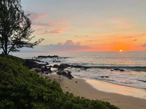 Hale Kamaole 258 House in Wailea