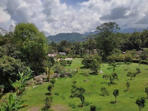 Natural landscape, Garden, Mountain view