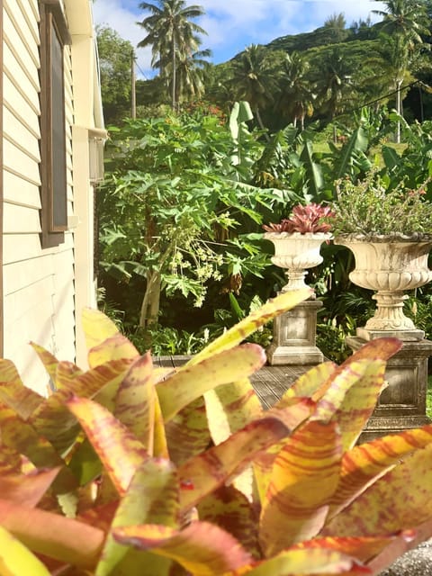 Garden view, Mountain view