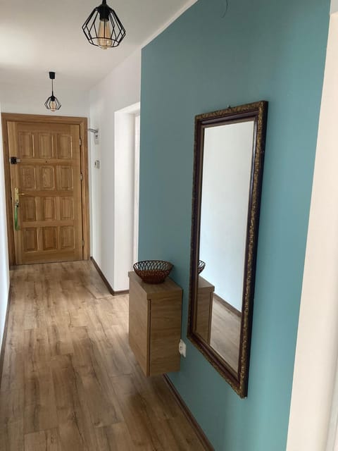 Reginka Apartment in Lithuania