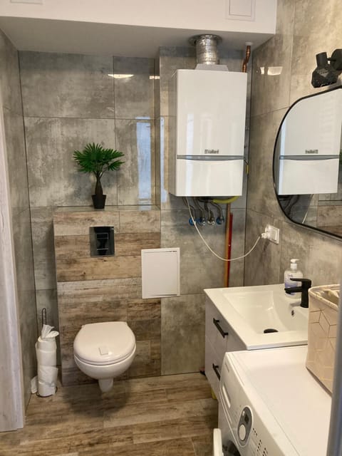 Reginka Apartment in Lithuania