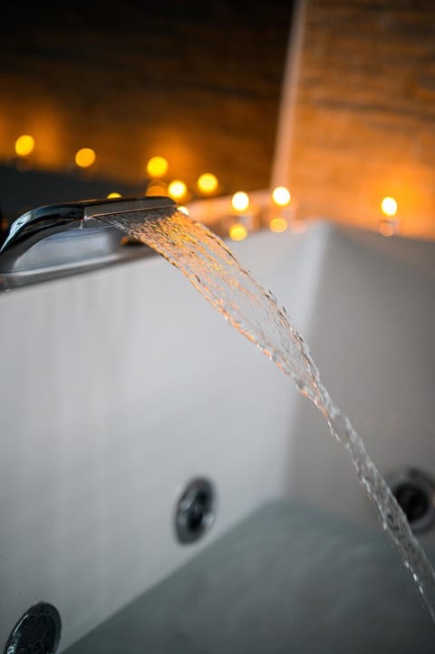 Spa Apartman Grand Apartment in Serbia