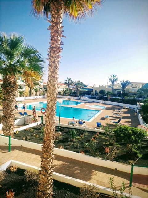 Day, Pool view, Swimming pool