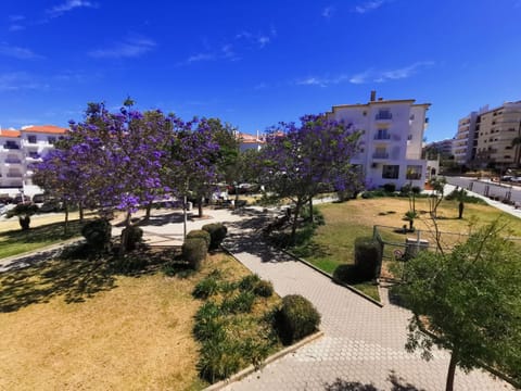 Garden, Garden, Garden view