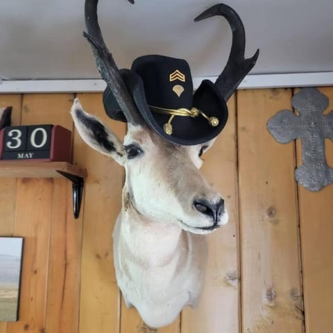 Outlaw Cache Chalet in Chama