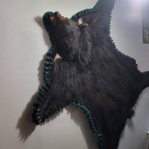 Outlaw Cache Chalet in Chama