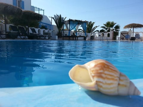 Day, Swimming pool, Swimming pool