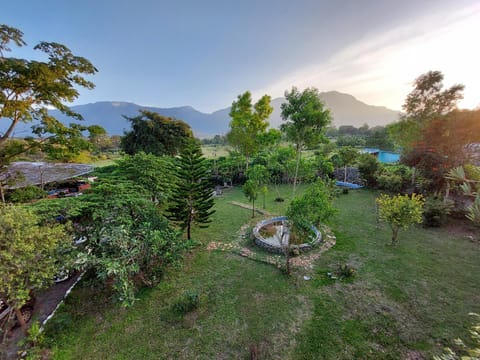 Natural landscape, Garden view