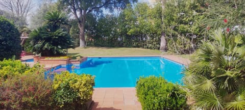 Spring, Day, Natural landscape, Garden, Garden view, Pool view, Swimming pool
