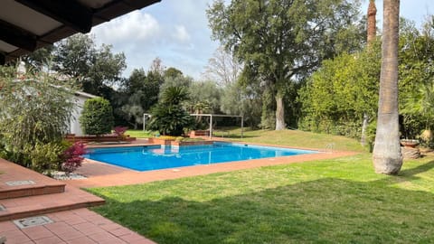 Spring, Day, Natural landscape, Garden, Garden view, Pool view, Swimming pool, sunbed