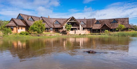 Activities, River view, Location