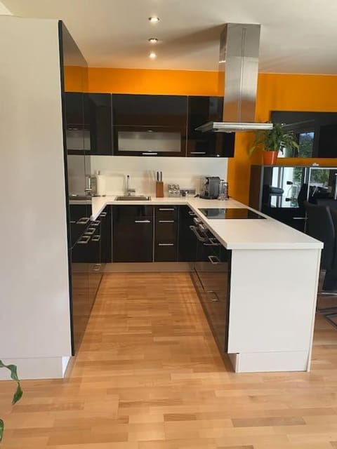 Kitchen or kitchenette, dishwasher, minibar, pet friendly, stove