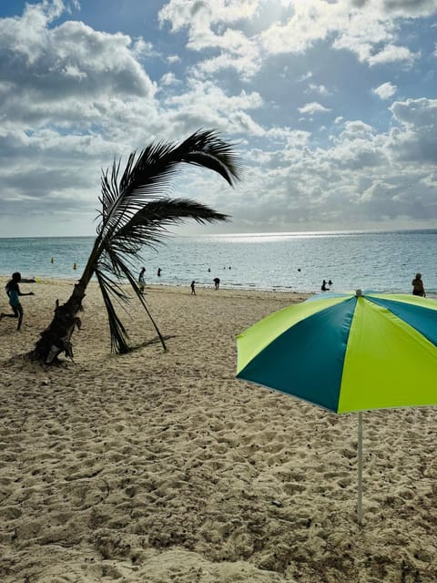 Day, Natural landscape, Beach