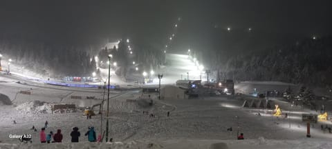 Night, Winter