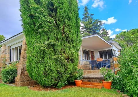 Property building, Garden, Garden view
