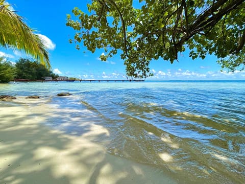 Day, Natural landscape, Beach, Sea view