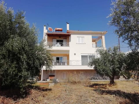 Rural 3-bedroom house Kalamata House in Messenia