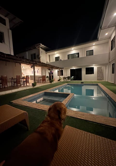 Property building, Night, Pets, Pool view, Swimming pool