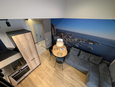 TV and multimedia, Kitchen or kitchenette, Living room, Seating area, Dining area, oven