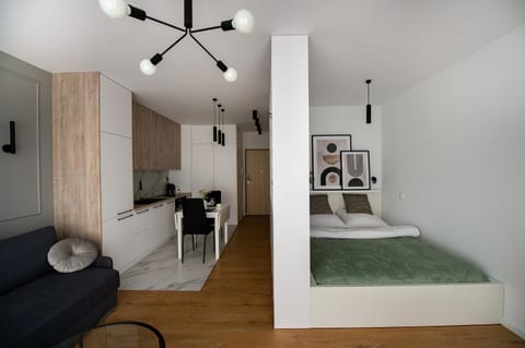 Bed, TV and multimedia, Living room, Photo of the whole room, Seating area, Bedroom