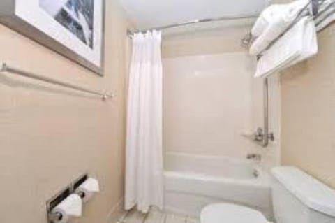 Shower, Toilet, Bathroom, Bath, towels