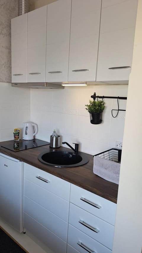 Lena Studio Apartment in Vojvodina