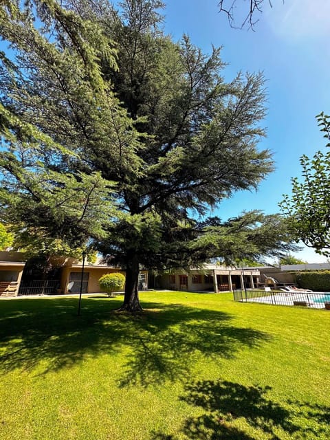 Garden, Garden view
