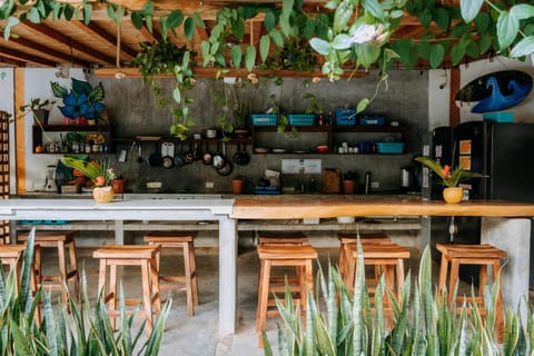 SurfNest Tamarindos Hostel in Brisas de Zicatela