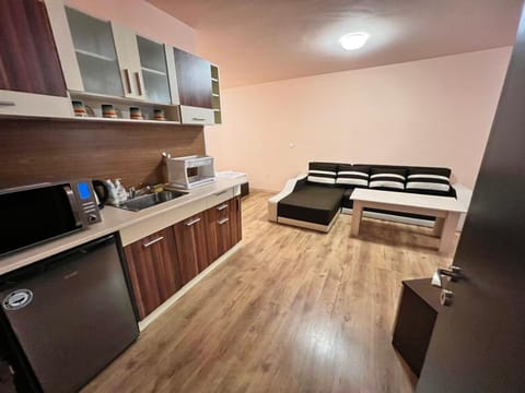 Bed, Kitchen or kitchenette, Photo of the whole room, minibar, oven, stove