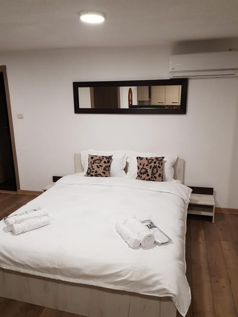 Casa Gina Apartment in Timiș County