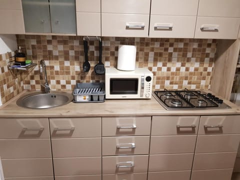 Casa Gina Apartment in Timiș County