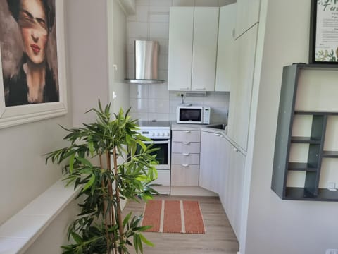 Kitchen or kitchenette, dishwasher, stove