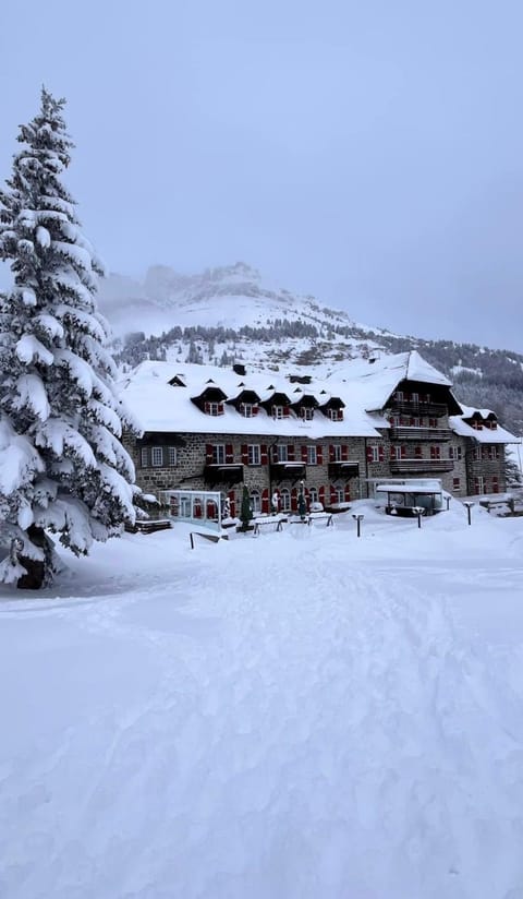 Appartamenti panoramici direttamente sulle piste da sci - Golf Hotel Carezza - Nova Levante Apartment in Trentino-South Tyrol