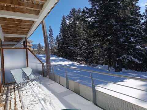 Winter, Balcony/Terrace