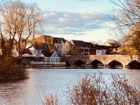 In the heart of the new forest House in New Forest District