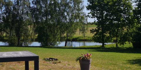 Natural landscape, Garden, Garden, Garden view