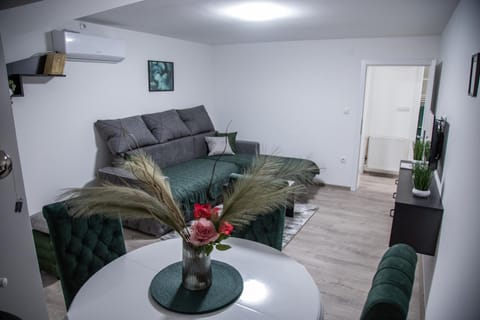 Happy Apartment in Serbia