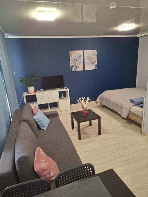 Bed, TV and multimedia, Living room, Photo of the whole room, Seating area, Bedroom