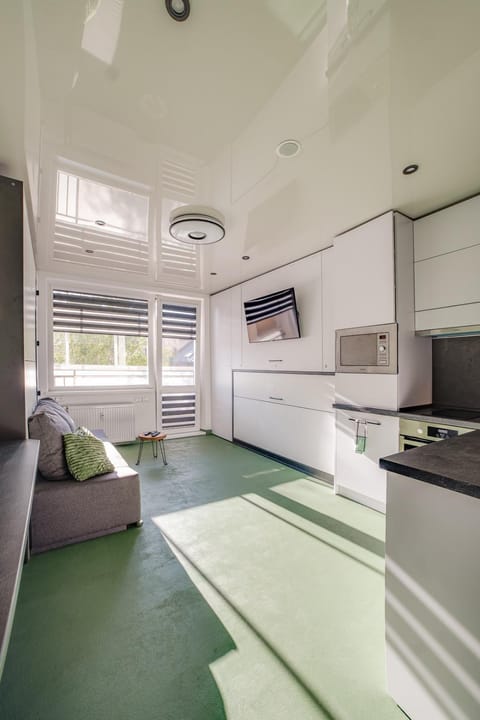 TV and multimedia, Kitchen or kitchenette, Living room, Seating area, minibar, pet friendly