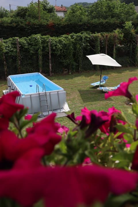 Garden, Swimming pool
