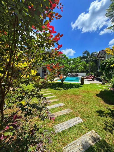 Natural landscape, Garden, Garden view, Pool view, Swimming pool