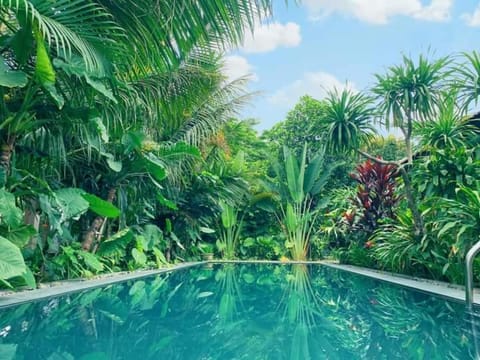 Day, Natural landscape, Garden, Garden view, Pool view, Swimming pool