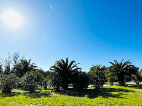 Spring, Day, Natural landscape, Garden, Garden, Garden view