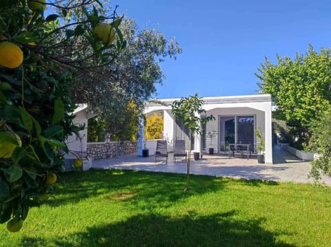Property building, Garden, Garden view