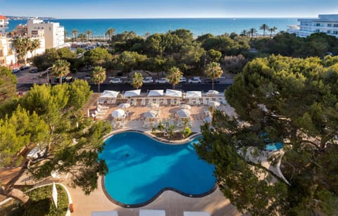 Bird's eye view, Pool view