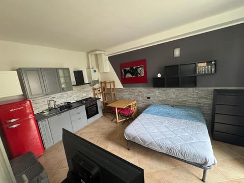 Bed, Kitchen or kitchenette, Photo of the whole room, Dining area, oven, stove