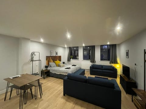 Bed, Living room, Photo of the whole room, Seating area, Bedroom